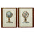 Handsome Italian Globe Paintings, pair